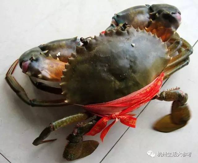 第333页